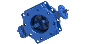 AWWA C504 150PSI ডাবল এক্সসেন্ট্রিক বাটারফ্লাই ভালভ