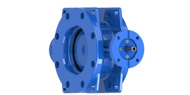 AWWA C504 150PSI ডাবল এক্সসেন্ট্রিক বাটারফ্লাই ভালভ