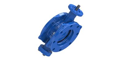 AWWA C504 150PSI ডাবল এক্সসেন্ট্রিক বাটারফ্লাই ভালভ