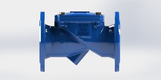 জল প্রয়োগের জন্য EPDM সিল এবং EN12266 পরীক্ষিত ডাকটাইল আয়রন সুইং ফ্লেক্স চেক ভালভ