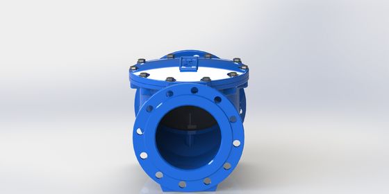 DN50-700 সাইজ রেঞ্জ এবং PN10/PN16 ফ্ল্যাঞ্জ সংযোগ সহ EPDM সিল সুইং ফ্লেক্স চেক ভালভ